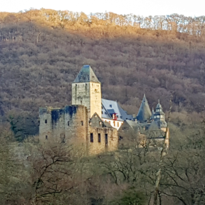 Schloss Büressheim