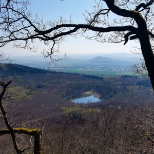 Krufter Waldsee