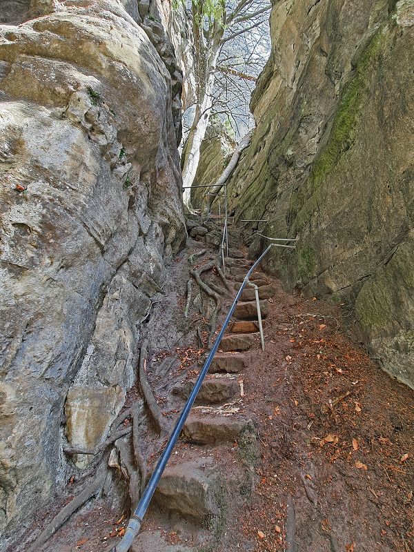 Treppenstufen im Müllerthal in der Nähe von Echternach