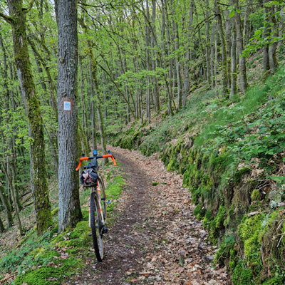 Trail am Stausse von Vianden