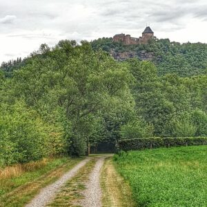 Blick auf die Burg Nideggen
