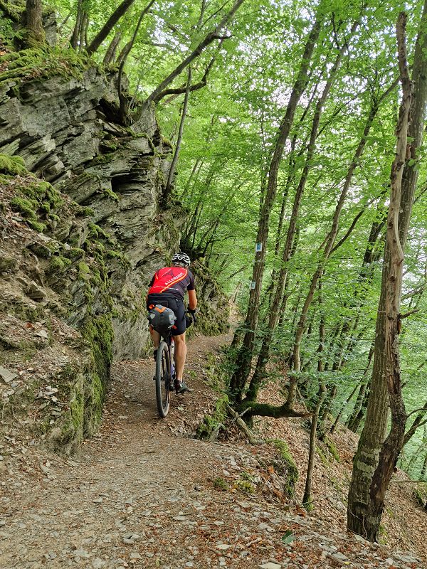 Trail im Mörserbachtal