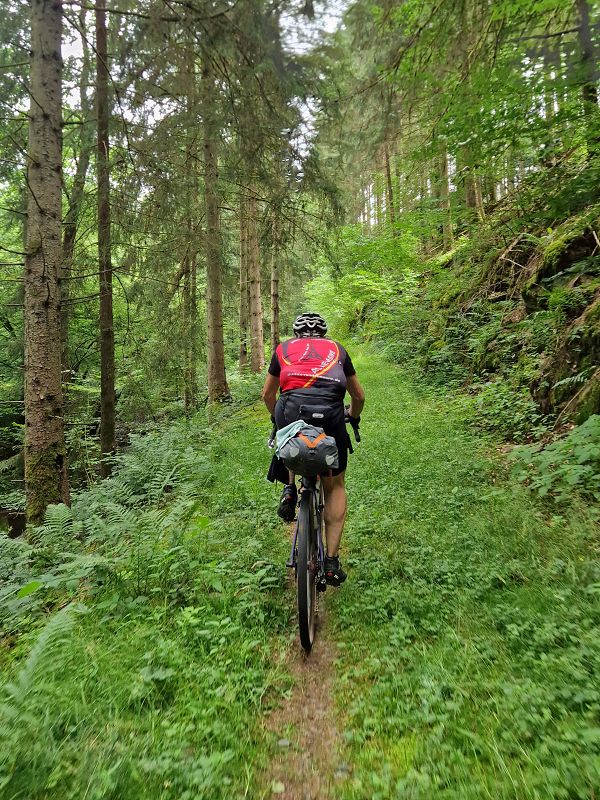 Trail im Mörserbachtal