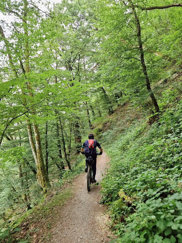 Trail im Liesertal